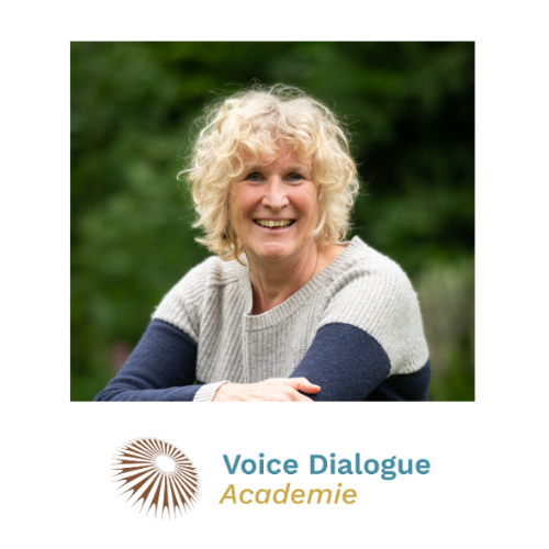 Judith Budde Voice Dialogue Academie Ik en mijn Ikken Ikkenbox